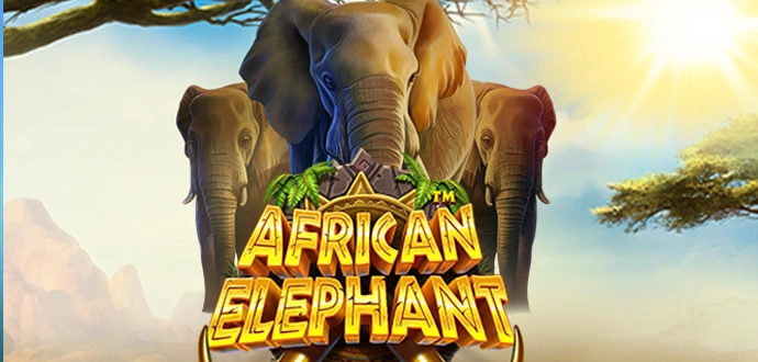 African Elephant
