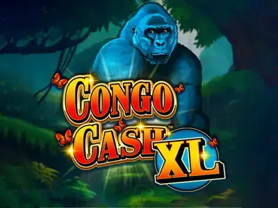 Congo Cash XL