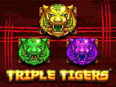 Triple Tigers